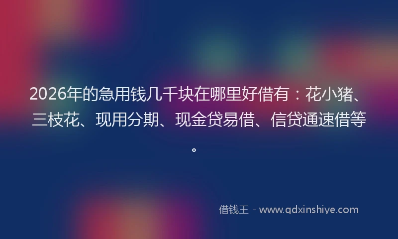 2026年的急用钱几千块在哪里好借有：花小猪、三枝花、现用分期、现金贷易借、信贷通速借等。