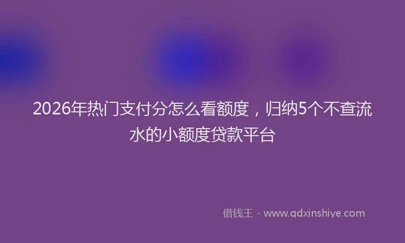 2026年热门支付分怎么看额度，归纳5个不查流水的小额度贷款平台