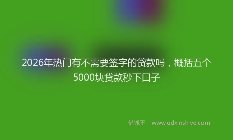 2026年热门有不需要签字的贷款吗，概括五个5000块贷款秒下口子
