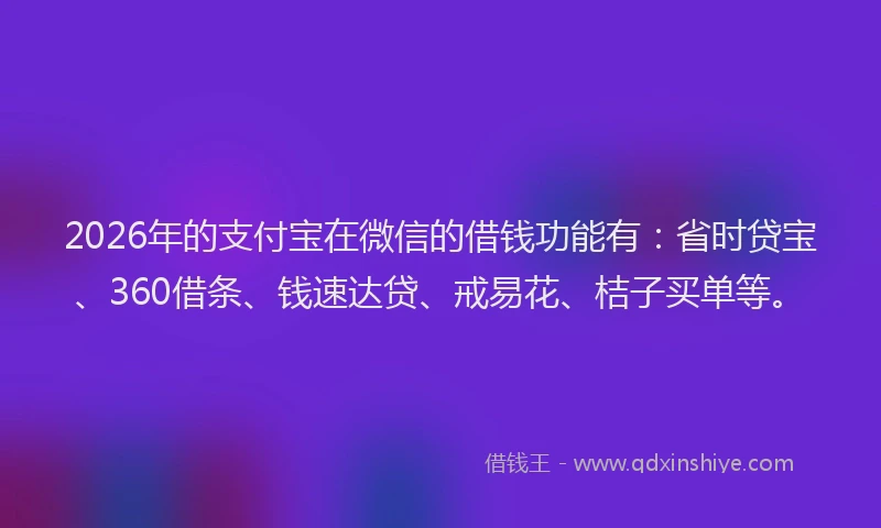 2026年的支付宝在微信的借钱功能有：省时贷宝、360借条、钱速达贷、戒易花、桔子买单等。
