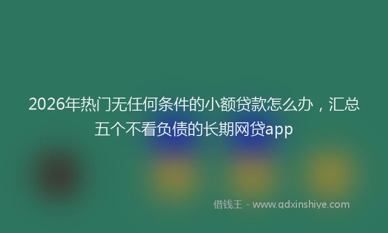 2026年热门无任何条件的小额贷款怎么办，汇总五个不看负债的长期网贷app