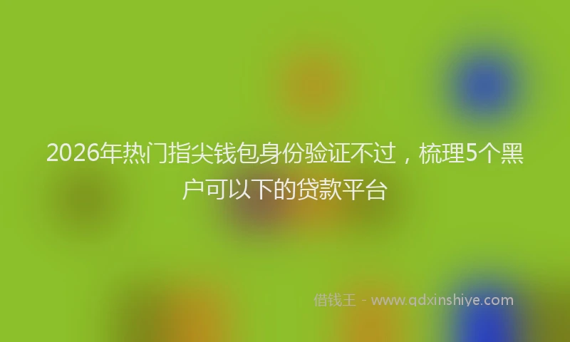 2026年热门指尖钱包身份验证不过，梳理5个黑户可以下的贷款平台