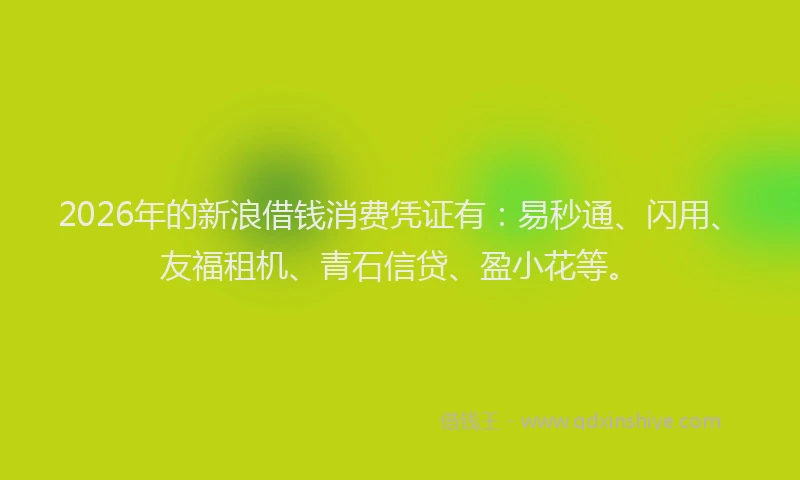 2026年的新浪借钱消费凭证有：易秒通、闪用、友福租机、青石信贷、盈小花等。