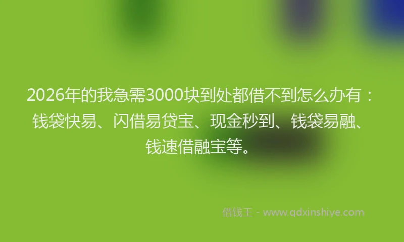 2026年的我急需3000块到处都借不到怎么办有：钱袋快易、闪借易贷宝、现金秒到、钱袋易融、钱速借融宝等。