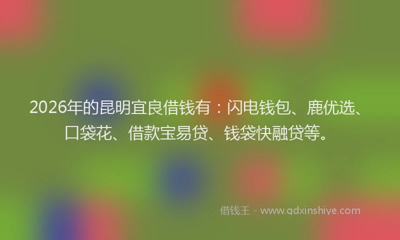 2026年的昆明宜良借钱有:闪电钱包、鹿优选、口袋花、借款宝易贷、钱袋快融贷等。