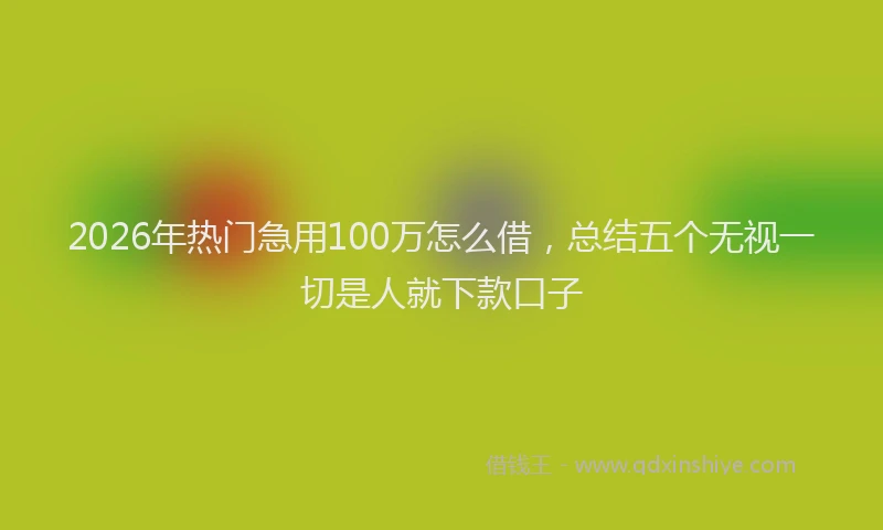 2026年热门急用100万怎么借，总结五个无视一切是人就下款口子