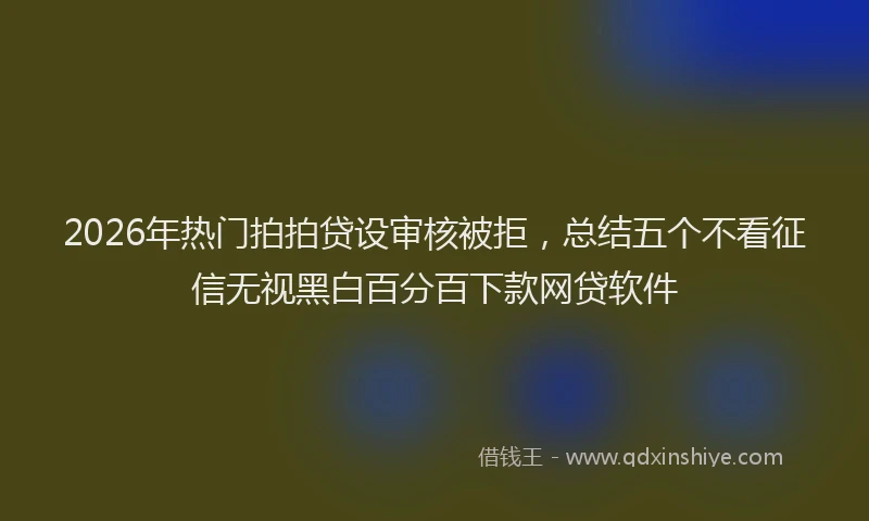 2026年热门拍拍贷设审核被拒，总结五个不看征信无视黑白百分百下款网贷软件