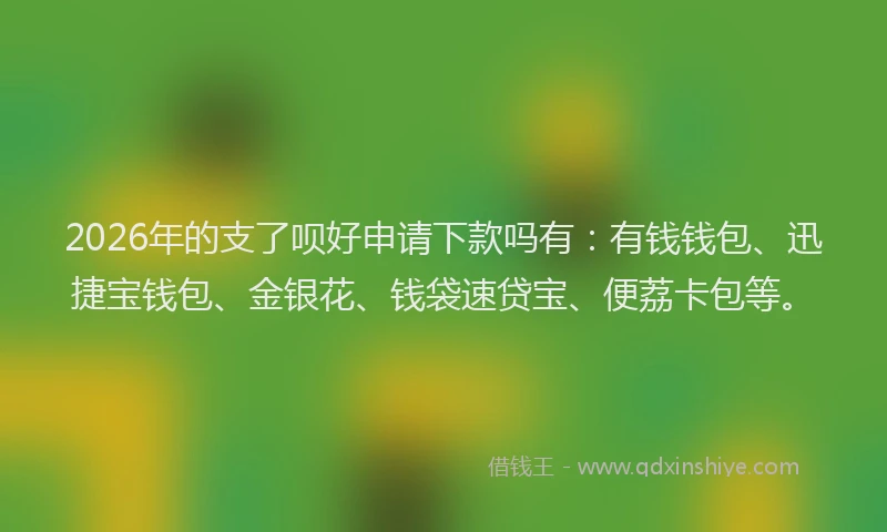 2026年的支了呗好申请下款吗有：有钱钱包、迅捷宝钱包、金银花、钱袋速贷宝、便荔卡包等。