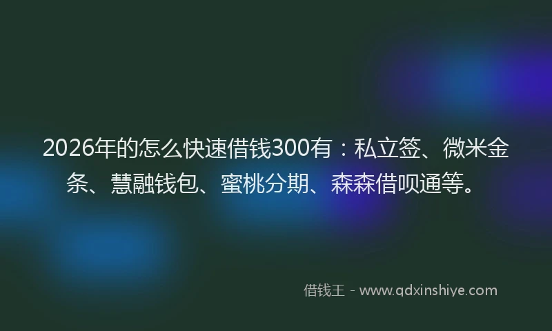 2026年的怎么快速借钱300有：私立签、微米金条、慧融钱包、蜜桃分期、森森借呗通等。