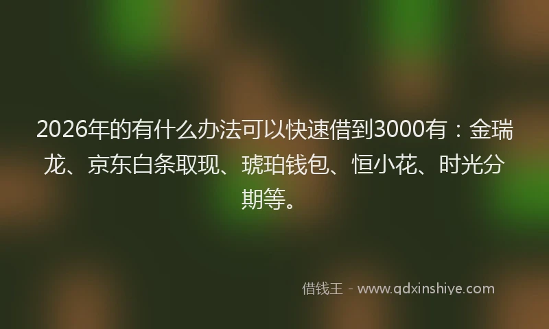 2026年的有什么办法可以快速借到3000有：金瑞龙、京东白条取现、琥珀钱包、恒小花、时光分期等。