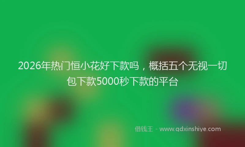 2026年热门恒小花好下款吗，概括五个无视一切包下款5000秒下款的平台