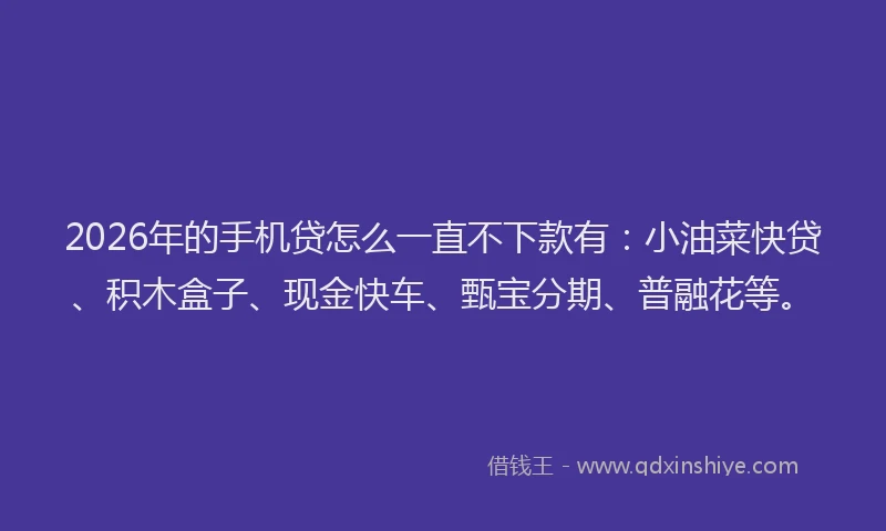 2026年的手机贷怎么一直不下款有：小油菜快贷、积木盒子、现金快车、甄宝分期、普融花等。