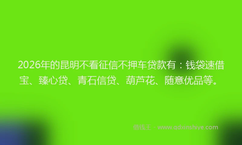 2026年的昆明不看征信不押车贷款有：钱袋速借宝、臻心贷、青石信贷、葫芦花、随意优品等。