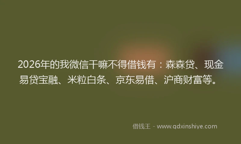 2026年的我微信干嘛不得借钱有：森森贷、现金易贷宝融、米粒白条、京东易借、沪商财富等。