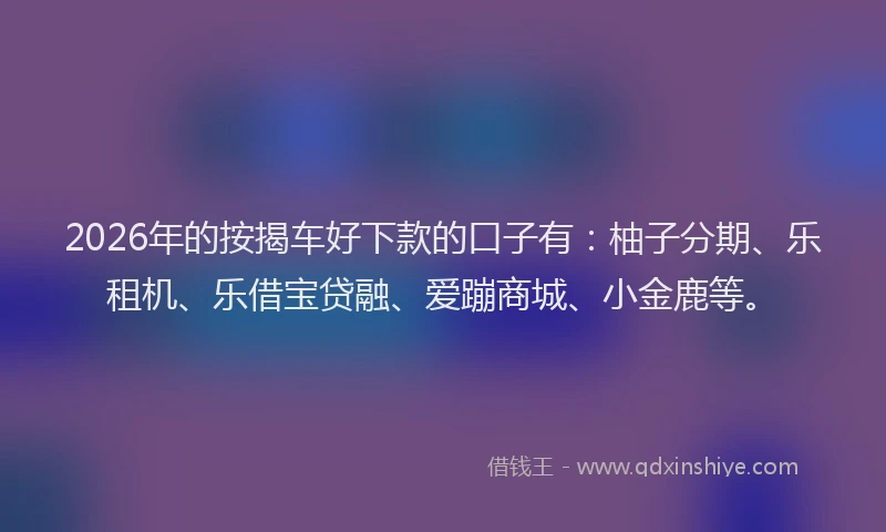 2026年的按揭车好下款的口子有:柚子分期、乐租机、乐借宝贷融、爱蹦商城、小金鹿等。
