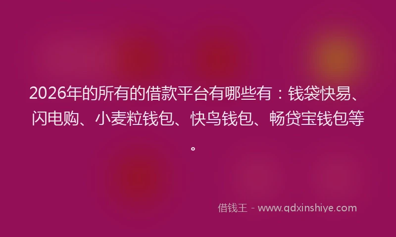 2026年的所有的借款平台有哪些有：钱袋快易、闪电购、小麦粒钱包、快鸟钱包、畅贷宝钱包等。