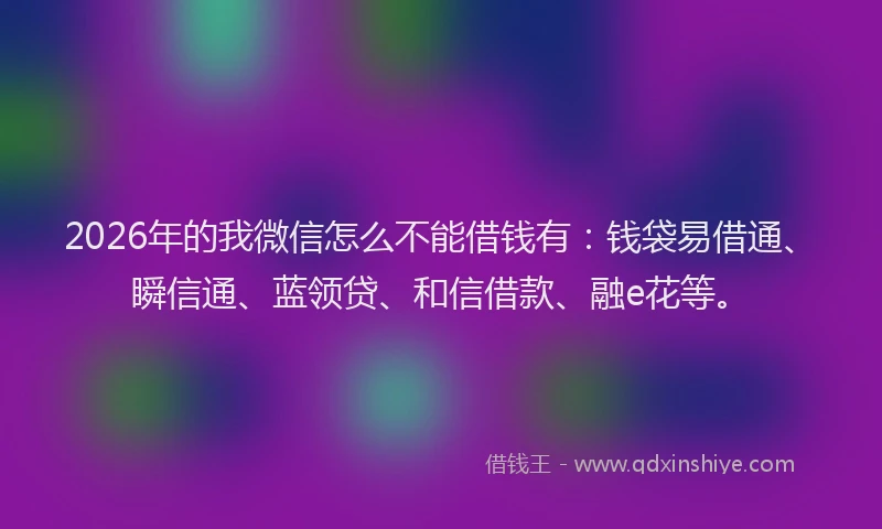 2026年的我微信怎么不能借钱有：钱袋易借通、瞬信通、蓝领贷、和信借款、融e花等。