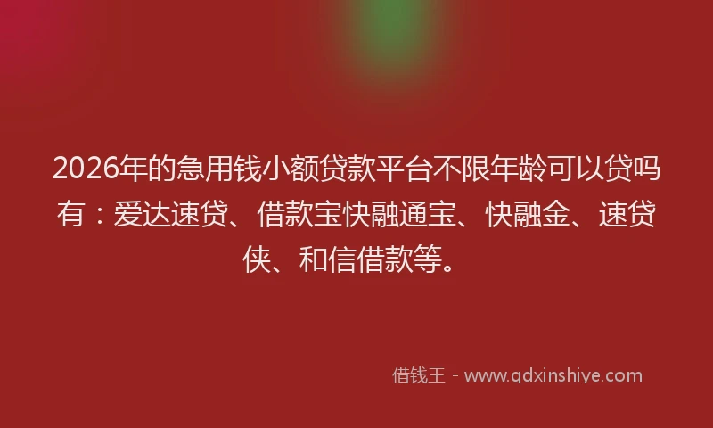 2026年的急用钱小额贷款平台不限年龄可以贷吗有：爱达速贷、借款宝快融通宝、快融金、速贷侠、和信借款等。