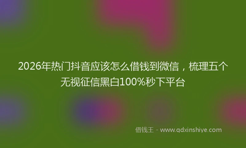 2026年热门抖音应该怎么借钱到微信，梳理五个无视征信黑白100%秒下平台