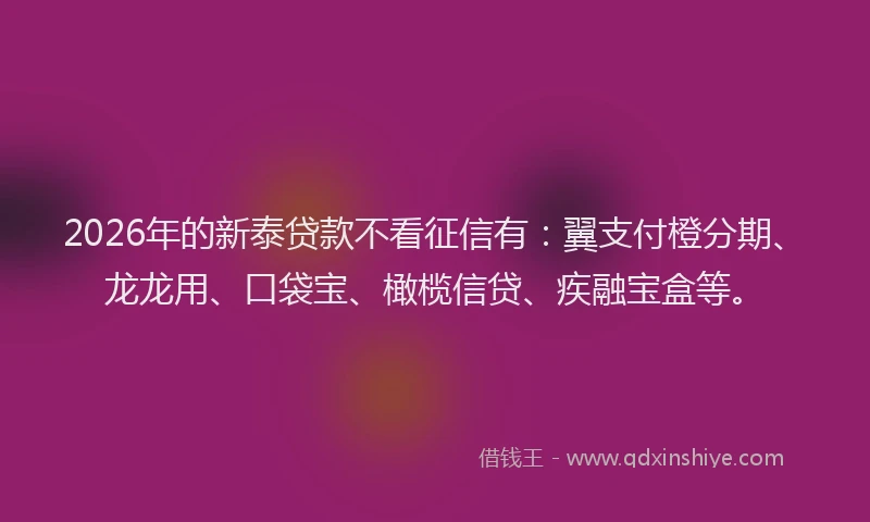 2026年的新泰贷款不看征信有：翼支付橙分期、龙龙用、口袋宝、橄榄信贷、疾融宝盒等。