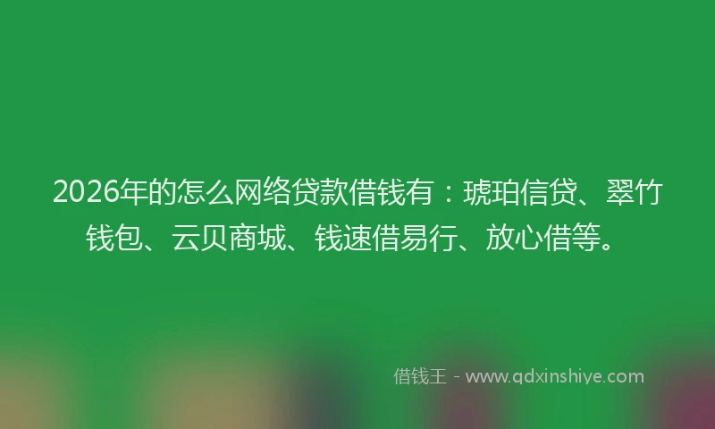 2026年的怎么网络贷款借钱有：琥珀信贷、翠竹钱包、云贝商城、钱速借易行、放心借等。