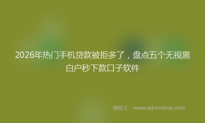 2026年热门手机贷款被拒多了，盘点五个无视黑白户秒下款口子软件