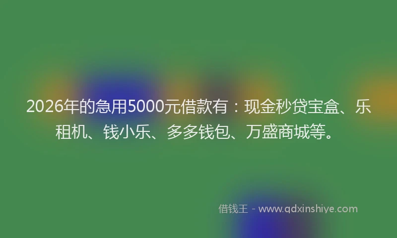 2026年的急用5000元借款有：现金秒贷宝盒、乐租机、钱小乐、多多钱包、万盛商城等。