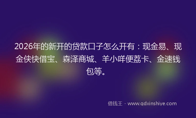 2026年的新开的贷款口子怎么开有：现金易、现金侠快借宝、森泽商城、羊小咩便荔卡、金速钱包等。
