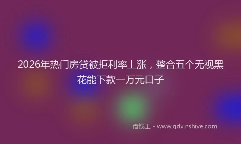 2026年热门房贷被拒利率上涨，整合五个无视黑花能下款一万元口子