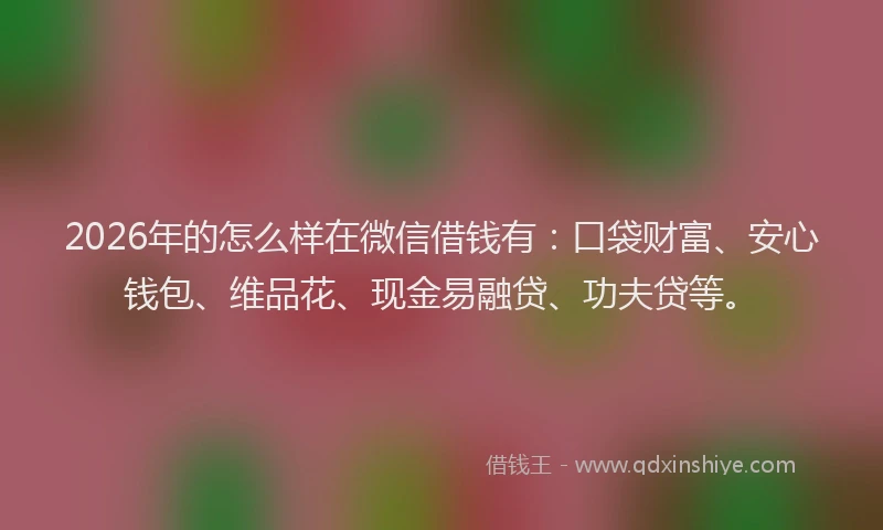 2026年的怎么样在微信借钱有：口袋财富、安心钱包、维品花、现金易融贷、功夫贷等。