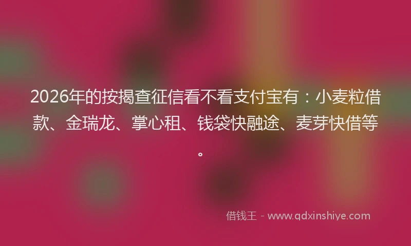2026年的按揭查征信看不看支付宝有:小麦粒借款、金瑞龙、掌心租、钱袋快融途、麦芽快借等。