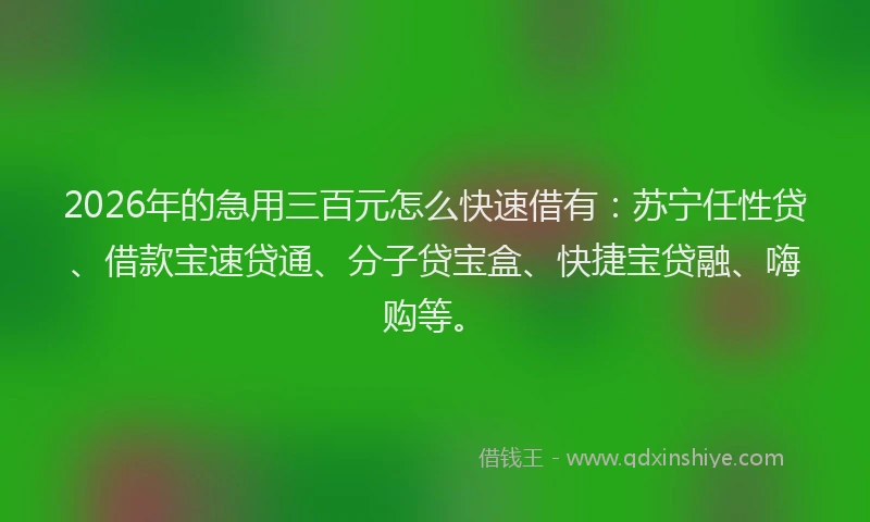 2026年的急用三百元怎么快速借有：苏宁任性贷、借款宝速贷通、分子贷宝盒、快捷宝贷融、嗨购等。