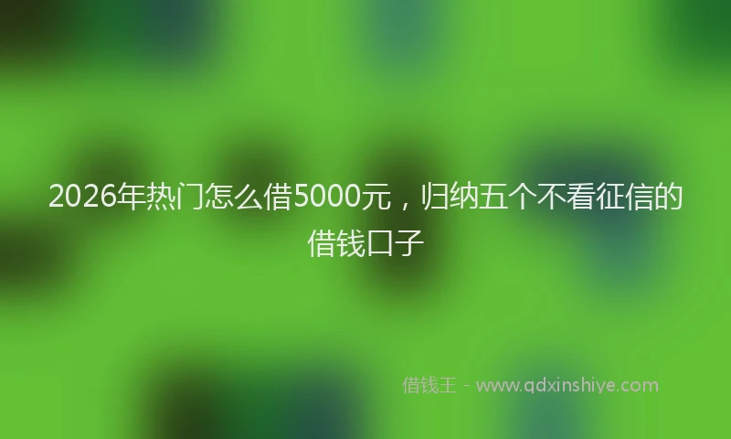 2026年热门怎么借5000元，归纳五个不看征信的借钱口子