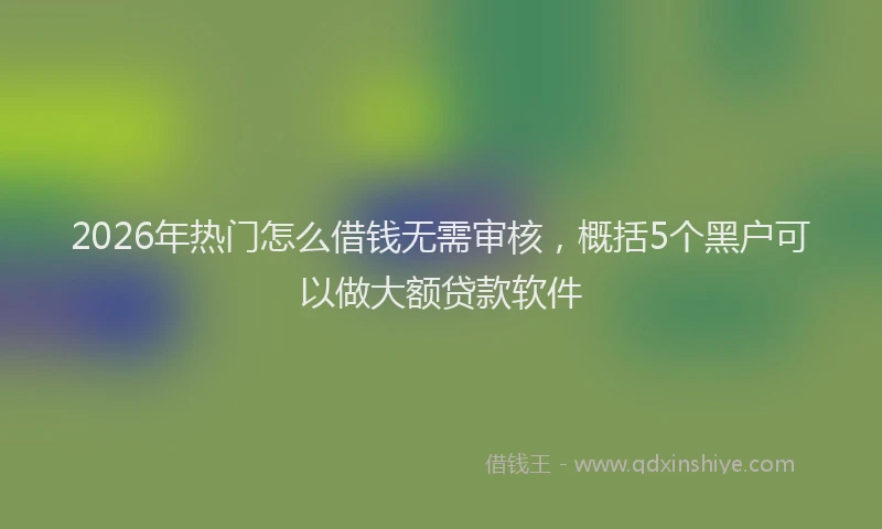 2026年热门怎么借钱无需审核，概括5个黑户可以做大额贷款软件