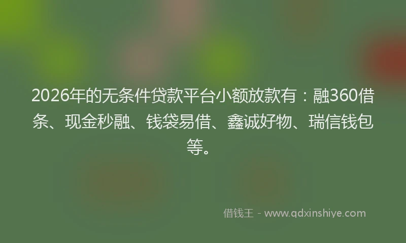 2026年的无条件贷款平台小额放款有：融360借条、现金秒融、钱袋易借、鑫诚好物、瑞信钱包等。