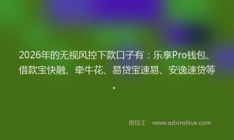 2026年的无视风控下款口子有:乐享Pro钱包、借款宝快融、牵牛花、易贷宝速易、安逸速贷等。
