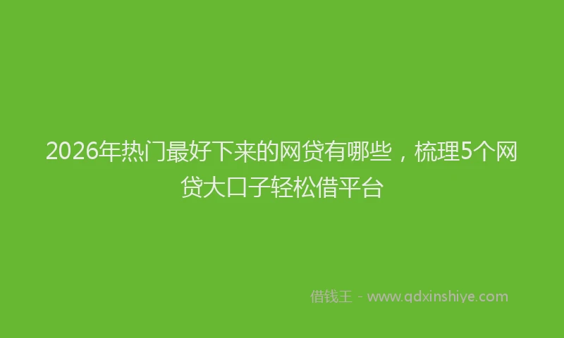 2026年热门最好下来的网贷有哪些，梳理5个网贷大口子轻松借平台