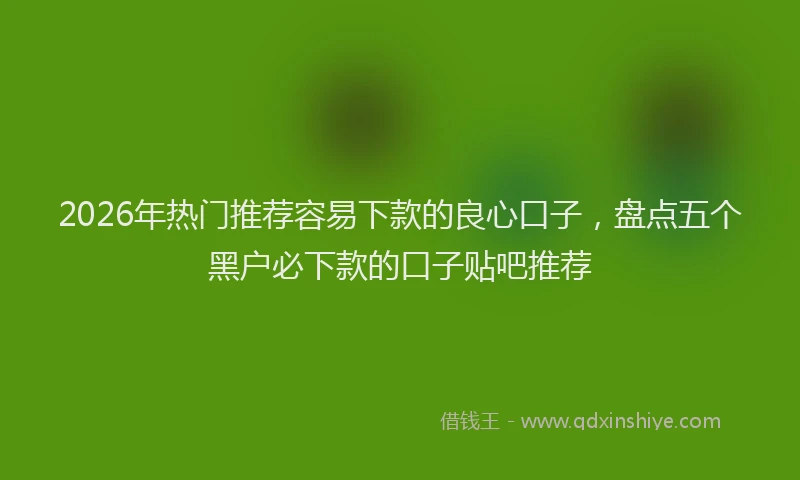 2026年热门推荐容易下款的良心口子，盘点五个黑户必下款的口子贴吧推荐