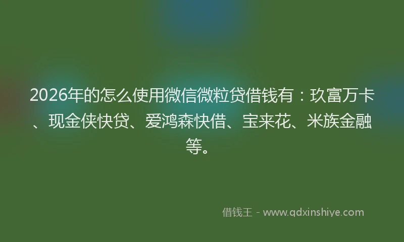 2026年的怎么使用微信微粒贷借钱有：玖富万卡、现金侠快贷、爱鸿森快借、宝来花、米族金融等。