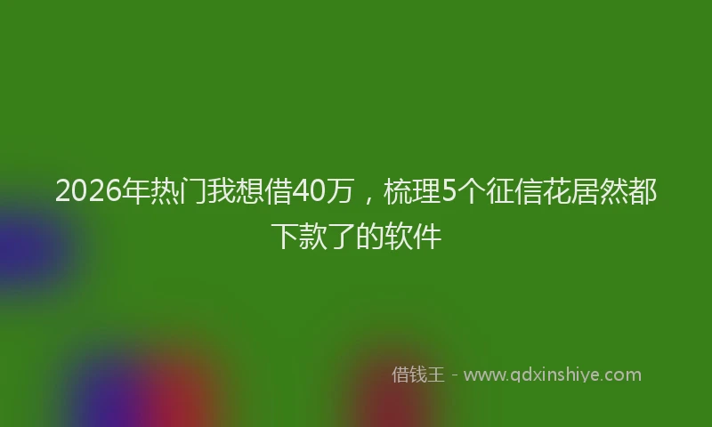 2026年热门我想借40万，梳理5个征信花居然都下款了的软件