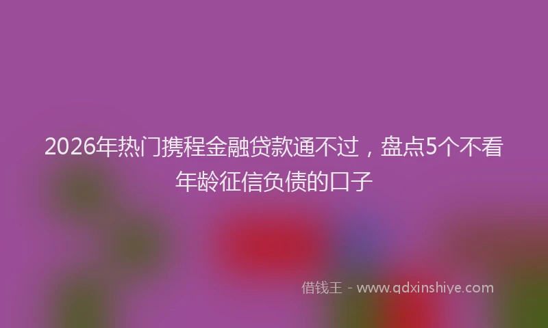 2026年热门携程金融贷款通不过,盘点5个不看年龄征信负债的口子