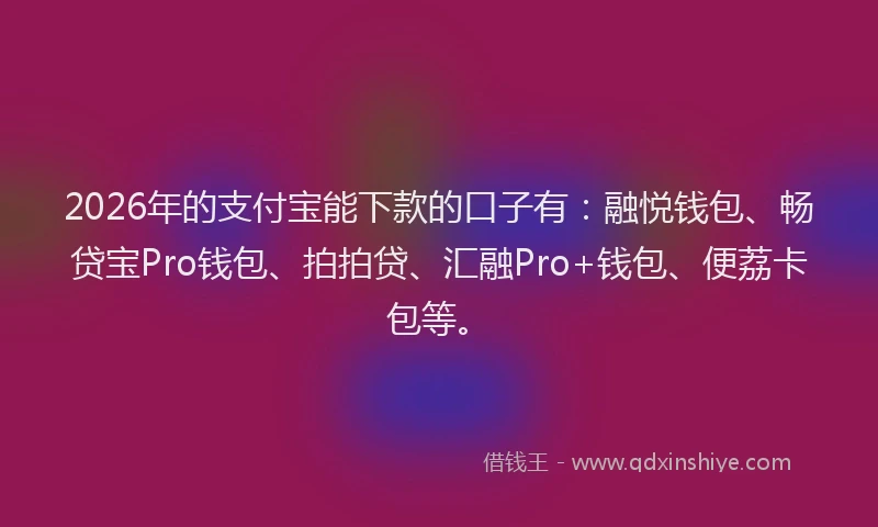 2026年的支付宝能下款的口子有:融悦钱包、畅贷宝Pro钱包、拍拍贷、汇融Pro+钱包、便荔卡包等。