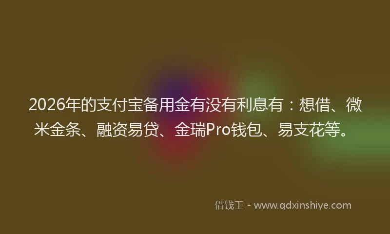 2026年的支付宝备用金有没有利息有：想借、微米金条、融资易贷、金瑞Pro钱包、易支花等。