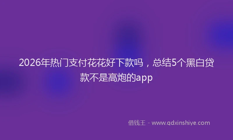 2026年热门支付花花好下款吗,总结5个黑白贷款不是高炮的app