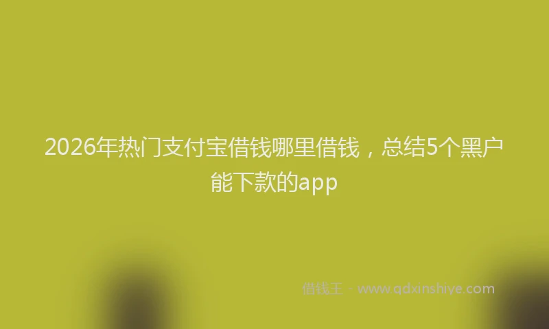 2026年热门支付宝借钱哪里借钱，总结5个黑户能下款的app