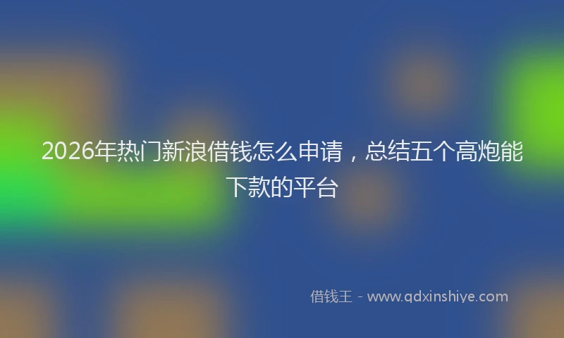 2026年热门新浪借钱怎么申请，总结五个高炮能下款的平台