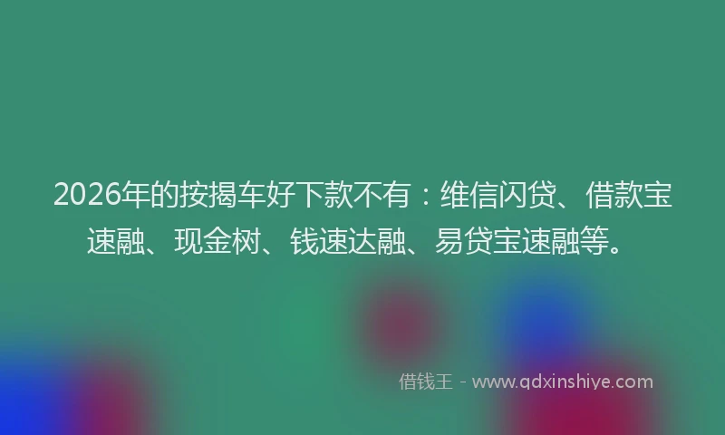2026年的按揭车好下款不有：维信闪贷、借款宝速融、现金树、钱速达融、易贷宝速融等。
