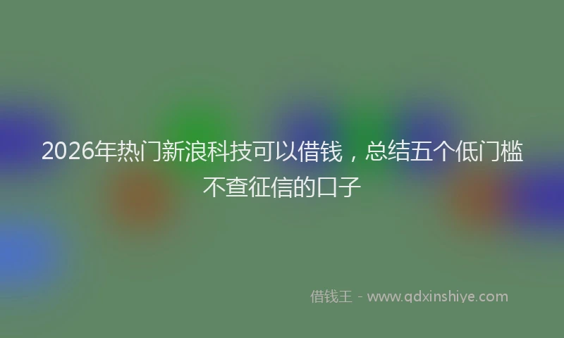 2026年热门新浪科技可以借钱，总结五个低门槛不查征信的口子