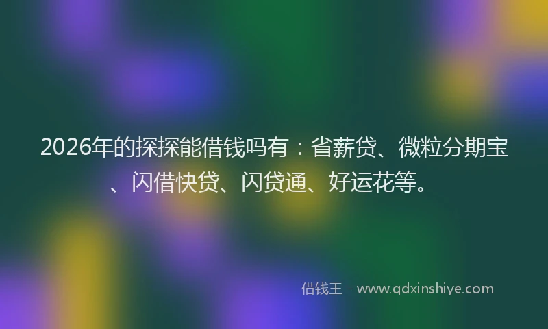 2026年的探探能借钱吗有：省薪贷、微粒分期宝、闪借快贷、闪贷通、好运花等。