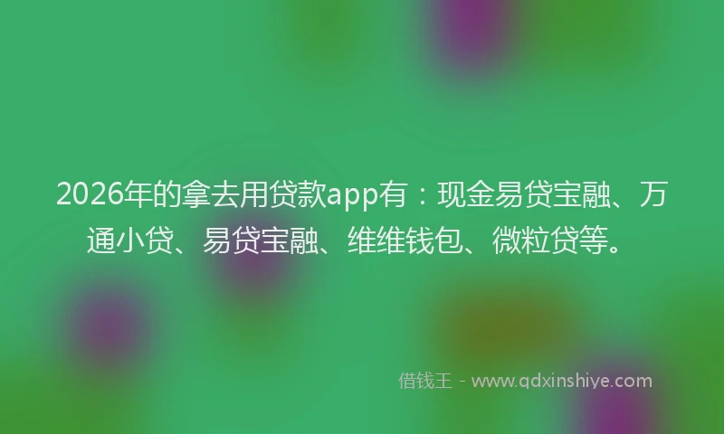 2026年的拿去用贷款app有：现金易贷宝融、万通小贷、易贷宝融、维维钱包、微粒贷等。